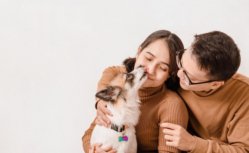 Casa limpa e segura para quem tem pets | Casa Sul