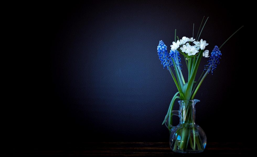 Feng Shui para o amor e relacionamentos | Casa Sul