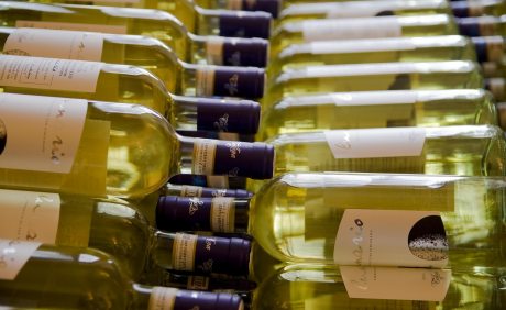 Arquitetura | Casa Sul