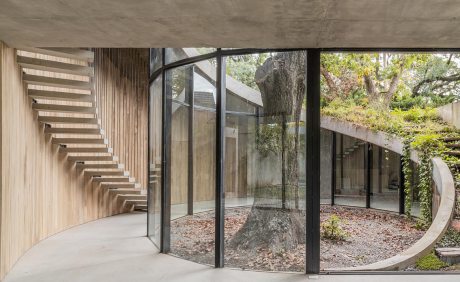 Casa construída ao redor de carvalho centenário | Casa Sul