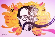 O mural mistura imagem, palavra, poesia e brinca com o vento como algo que passa, permanece e se transforma.