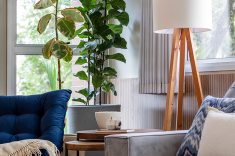 Toque de Natureza: Plantas de fácil manutenção reforçam a presença do verde no interior do lar.