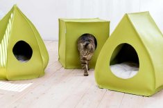 Toca para gatos, Pet Interiors.