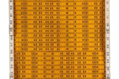 Cildo Meireles, Metros.