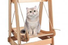Balanço para gatos, Amazon.